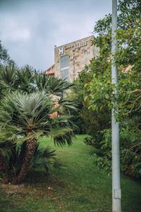un palmier devant un bâtiment dans l'établissement Hotel Mar Comillas by MIJ, à Comillas