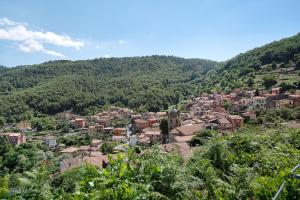 Príroda v okolí apartmánu