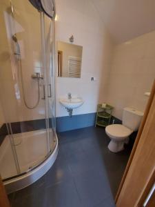 a bathroom with a shower and a toilet and a sink at Pokoje Gościnne Maczek in Sztutowo