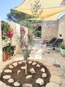 Gallery image of HOLIDAY HOME ZLOPOJE in Vis