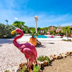 Kolam renang di atau dekat dengan Kas Amigu accomodations