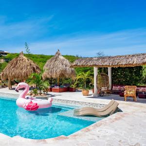 a pool at a resort with a pink swan in the water at Kas Amigu accomodations in Willibrordus