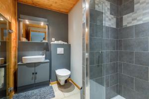 W łazience znajduje się prysznic, toaleta i umywalka. w obiekcie La Vallée de Ventron w mieście Ventron