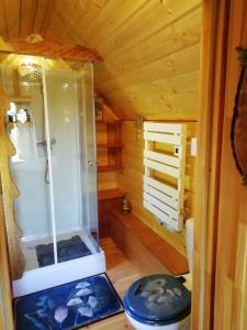 een badkamer met een douche in een houten cabine bij La Chaumière des Elfes in Servas