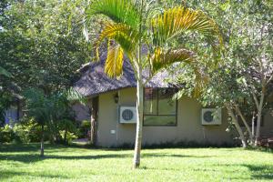 a palm tree in front of a house at Chobe Sunset Chalets in Lesoma