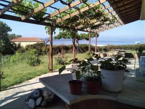 Fotografia z galérie ubytovania Evia Escape v destinácii Vathírrevma