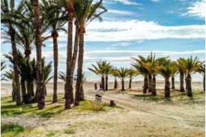 una fila di palme sulla spiaggia di Apartamentoen la playa, 200 Mts de la playa Nuevo a Santa Pola
