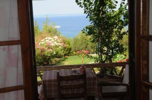 Príroda v okolí apartmánu