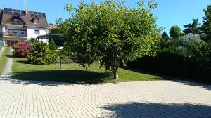 a tree on a brick path in front of a house at Balázs Apartman in Tihany