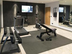 Fitness centrum a/nebo fitness zařízení v ubytování Bear & Bison Lake View