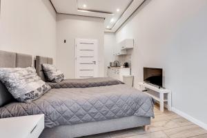 TV a/nebo společenská místnost v ubytování Central Platinum Apartments 27