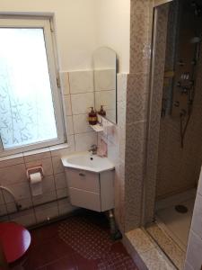 La salle de bains est pourvue d'un lavabo et d'une douche. dans l'établissement Casa BUCUR, à Tîrgu Ocna