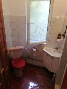 La salle de bains est pourvue de toilettes, d'un lavabo et d'une fenêtre. dans l'établissement Casa BUCUR, à Tîrgu Ocna
