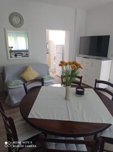 Televízia a/alebo spoločenská miestnosť v ubytovaní Studio apartman Sonja