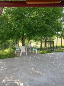 Vonkajšia záhrada v ubytovaní Studio apartman Sonja