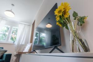 TV a/nebo společenská místnost v ubytování Apartment Norah with private parking