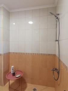 a bathroom with a shower and a pink table at Famagusta Antoniya in Aheloy