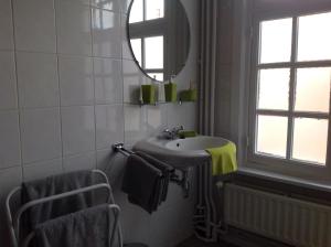une salle de bain avec un lavabo et un miroir dans l'établissement Holiday Home 't Beertje, à Bruges 13 autres photos