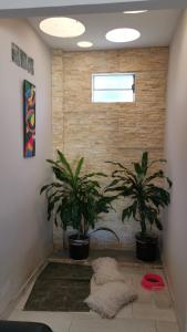 a room with two potted plants and a window at Casa amazilia in Leticia