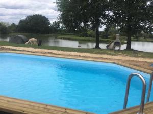 a large blue swimming pool next to a lake at Chalet 35m2 Domaine du vieux chêne in Bergerac