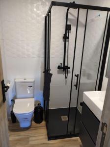Łazienka z toaletą i szklanymi drzwiami prysznicowymi w obiekcie La Cartería de Trabanca w mieście Trabanca