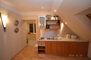 a kitchen with a sink and a counter top at Villa Regina - Spokojna okolica - 100 metrów od lasu - blisko szpitala in Kościerzyna