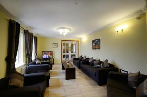 Gallery image of Seaview Guesthouse in Rostrevor