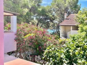 a garden with pink flowers and a building at Artatore24 - Modern and stylish Apartments in Mali Lošinj