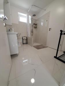 a white bathroom with a shower and a toilet at Déri Kert Apartmanház B in Baja +15 photos