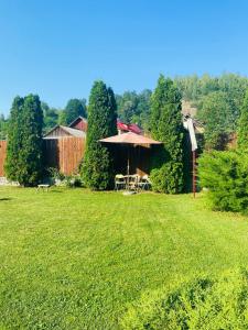 a garden with a table and an umbrella in the grass at Casa Petrișor in Corbi