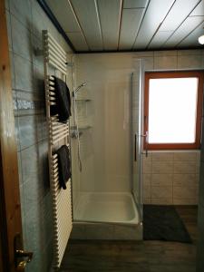 La salle de bains est pourvue d'une douche avec une porte en verre. dans l'établissement Ferienwohnung Mühlburger, à Virgen