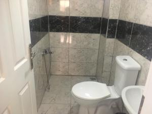a bathroom with a toilet and a shower at Salda Lake Sagiroglu Apart in Gökçe