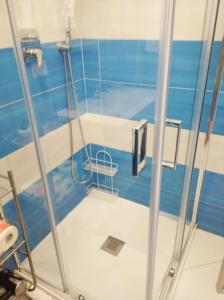 a shower in a room with a blue and white at appartamento openspace fronte mare esclusivo due letti matrimoniali a Portovenere in Portovenere