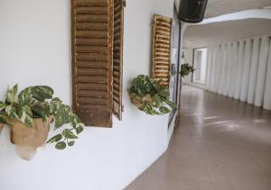 a hallway with potted plants and mirrors on a wall at Posada Mendoza by DOT Tradition in Ingeniero Maschwitz