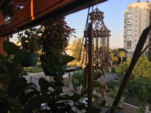 una ventana con vistas al jardín y plantas en Orange Garden en Antalya