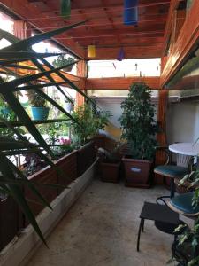 een patio met potplanten en een tafel en stoelen bij Orange Garden in Antalya