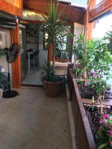 eine Terrasse mit Pflanzen in Töpfen in einem Haus in der Unterkunft Orange Garden in Antalya