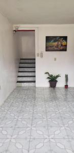 une pièce vide avec un escalier et une plante en pot dans l'établissement Estancia García, à San Cristóbal de Las Casas