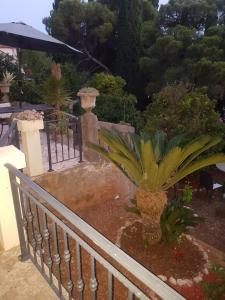 Zahrada ubytování Villa Tiha