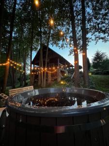 a fire pit in the middle of a park at night at Kumpuolis LakeHouse in Degučiai