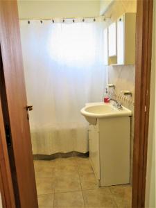 ein Bad mit einem Waschbecken und einem Duschvorhang in der Unterkunft Bariloche Lake View Apartments in San Carlos de Bariloche