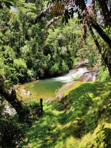 uma pintura de um rio no meio de uma floresta em Chalé do Coiote em Maromba em Visconde de Mauá