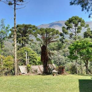 Um jardim em Chalé do Coiote em Maromba