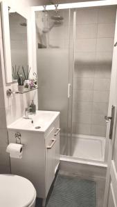 W łazience znajduje się prysznic, umywalka i toaleta. w obiekcie Victoriei studio w Bukareszcie