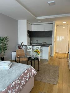 Novi Beograd的住宿－Manhattan apartman A blok，一间带床和厨房的客厅