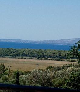 una vista de un campo y una masa de agua en Belle Hélène en Marathón