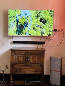 TV de pantalla plana en la parte superior de un armario de madera en Stadtvilla Jelena Mengen, en Mengen