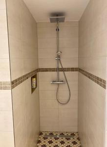 a shower with a shower head in a bathroom at Stadtvilla Jelena Mengen in Mengen +39 photos