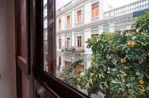 okna z widokiem na budynek z rośliną w obiekcie Apartamento Las Palmas w mieście Las Palmas de Gran Canaria