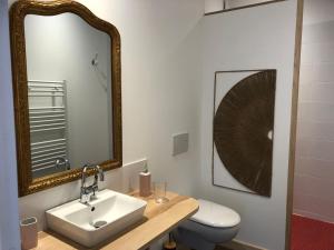 a bathroom with a sink and a toilet and a mirror at LA CONQUISE in Conques-en-Rouergue +41 photos